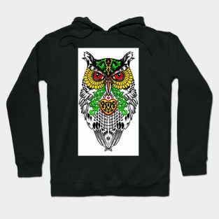 Owl bird Hoodie